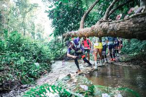 BIB: 
                            <button type="button" onclick="openModal(25455779)" class="btn btn-primary btn-sm float-right btn-popup" data-toggle="modal" data-target=".modal-high-quality">
                        <i class="fas fa-shopping-cart"></i> Add to Cart
                    </button>
                                            <button type="button" onclick="isThisMe(25455779, true)" class="btn btn-success btn-sm float-right btn-popup btn-isme hidden" data-toggle="tooltip" data-placement="bottom" title="นี่คือรูปของคุณใช่ไหม คลิกที่นี่เพื่อเอาเข้าอัลบั้ม">
                        <i class="fas fa-plus"></i> Add to album
                    </button>
                    <button type="button" onclick="isThisMe(25455779, false)" class="btn btn-warning btn-sm float-right btn-popup btn-isnotme hidden">
                        <i class="fas fa-ban"></i> Remove from album
                    </button>